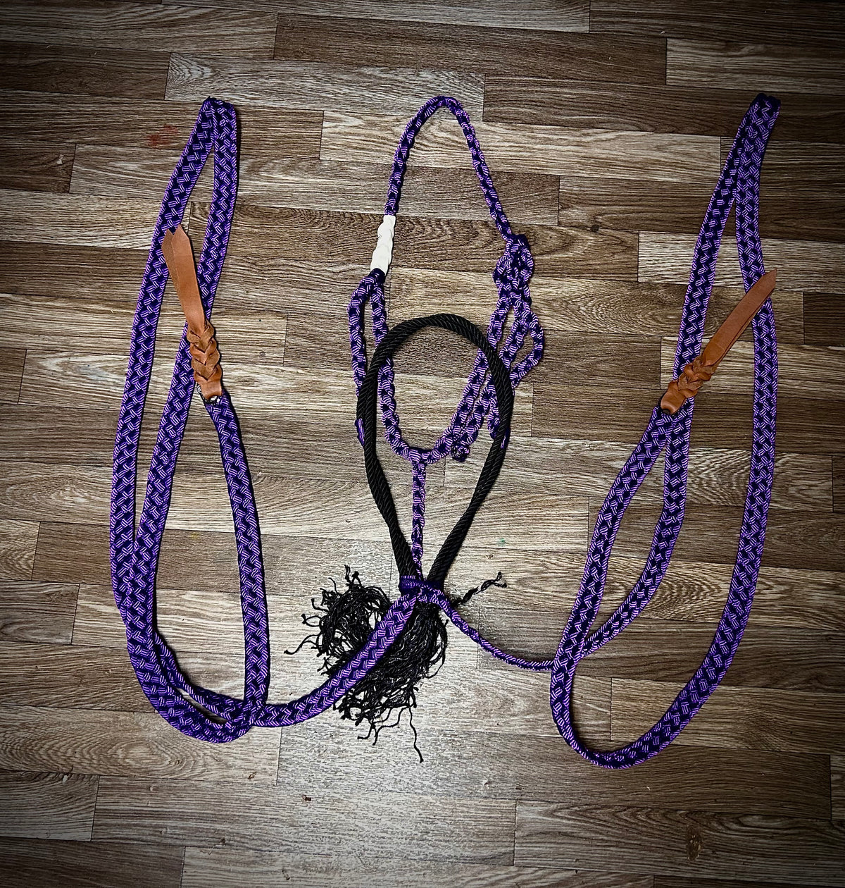 Purple with black twisted nose