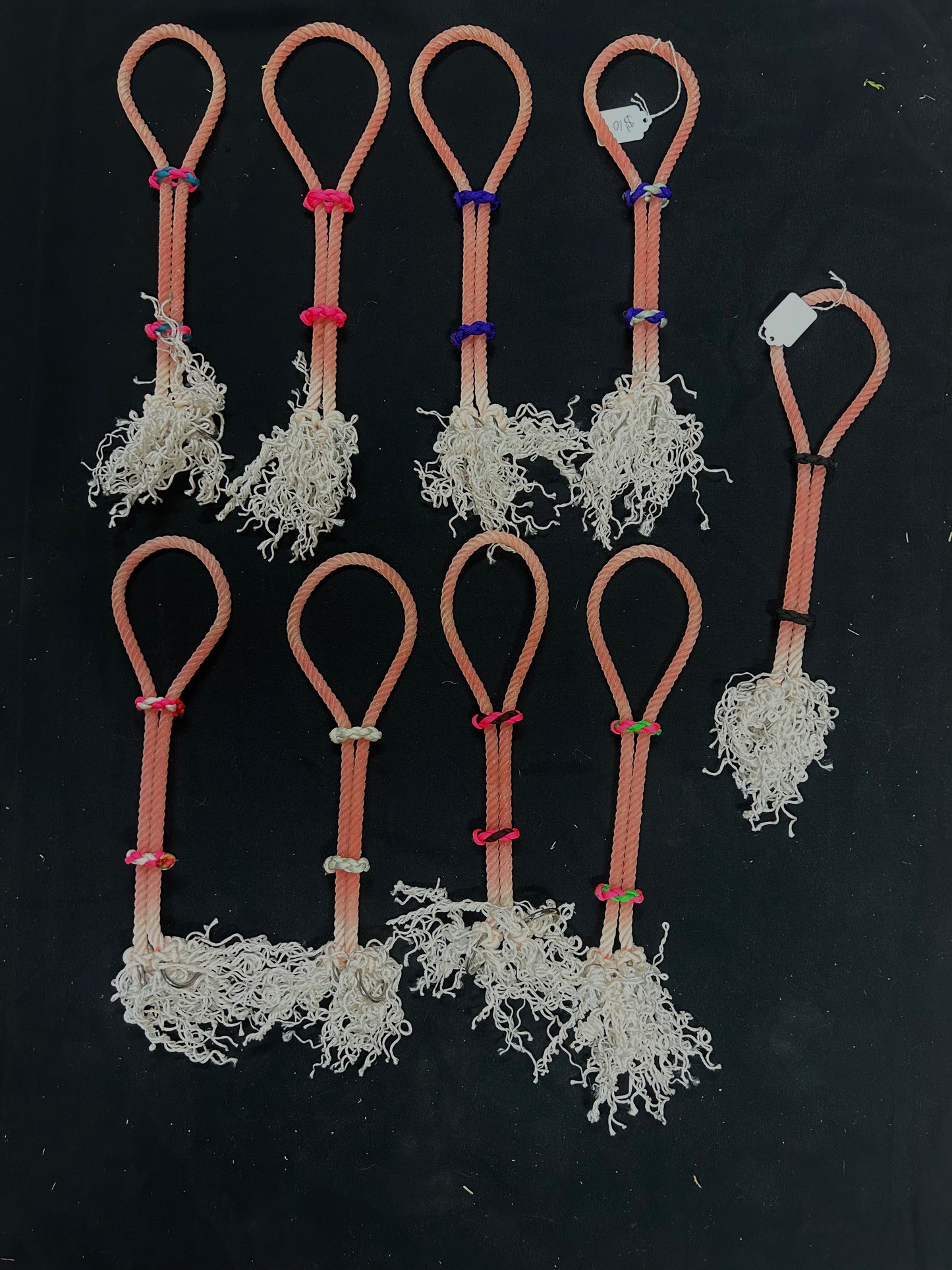 War bridles