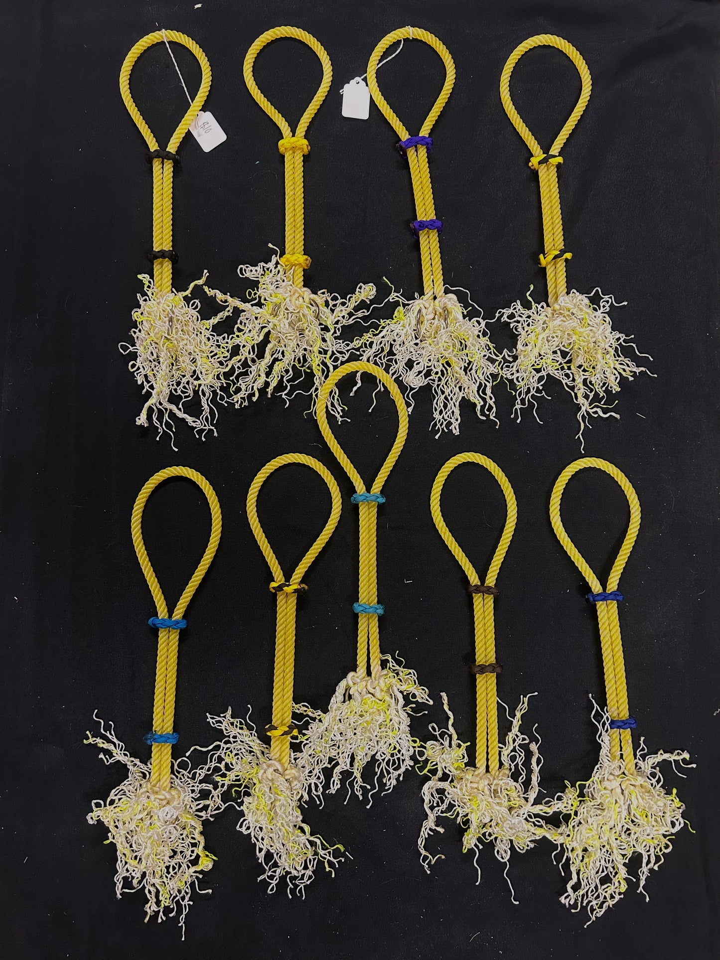 War bridles