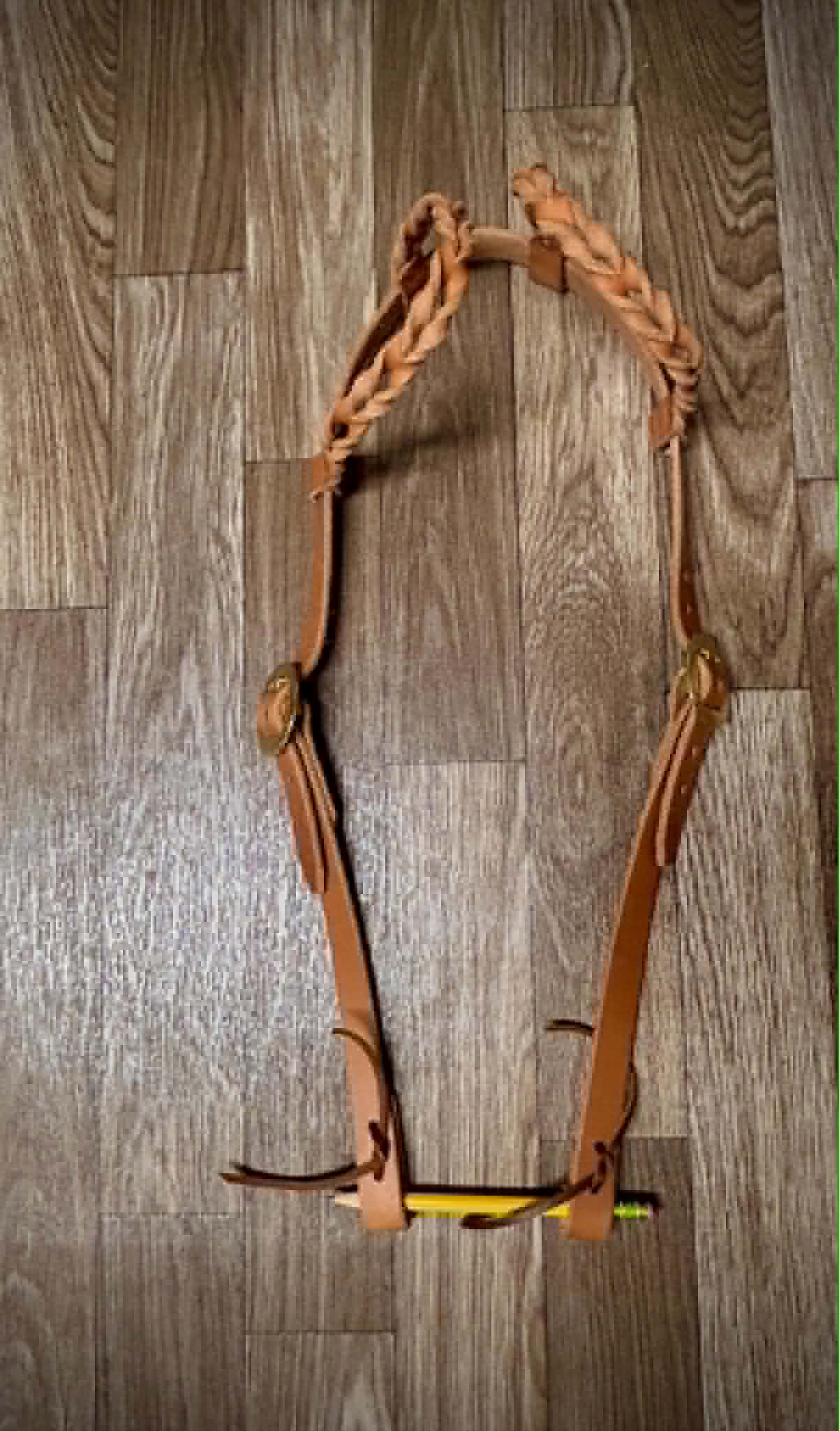 Double ear Headstall