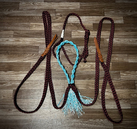 Burgundy with blue braided nose