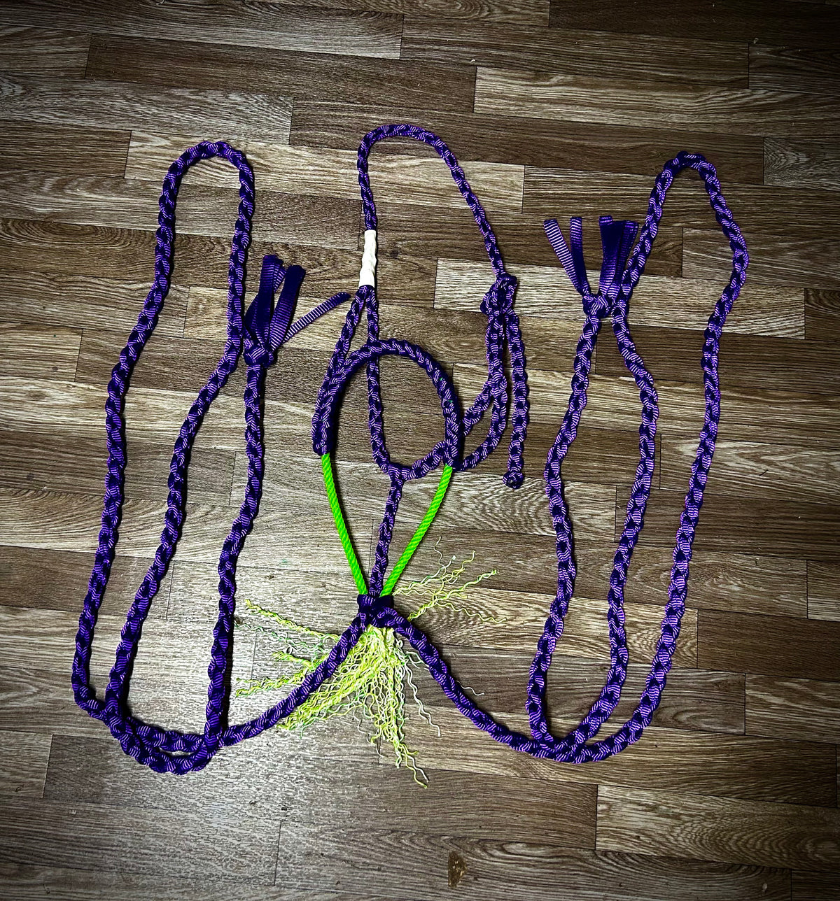 Purple with Lime green nose Single wrapped