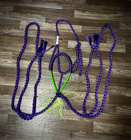 Purple with Lime green nose Single wrapped