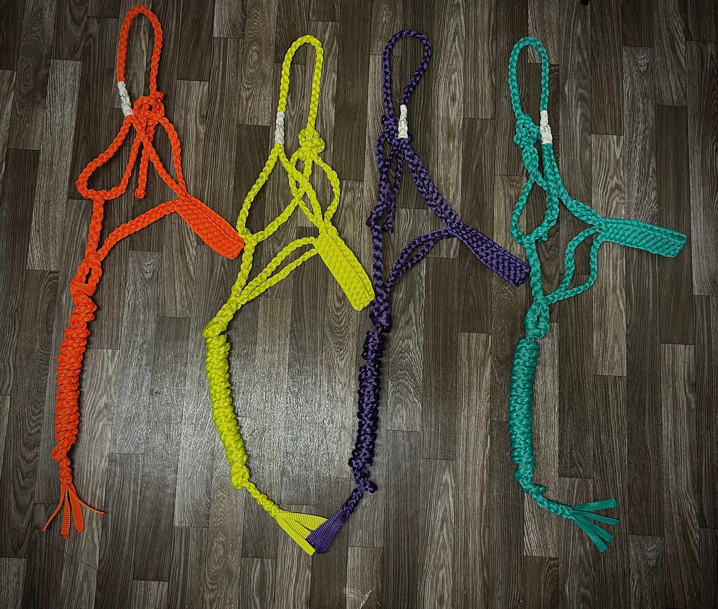 Flat nose halters