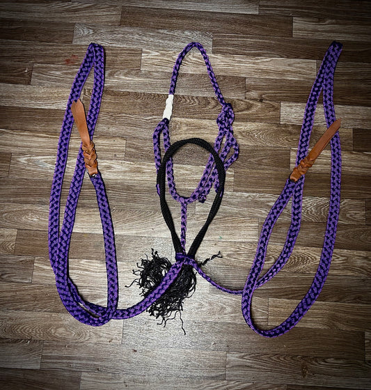 Purple with black twisted nose