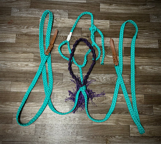 Teal with purple braided nose