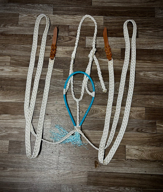 White With Blue single unwrapped nose