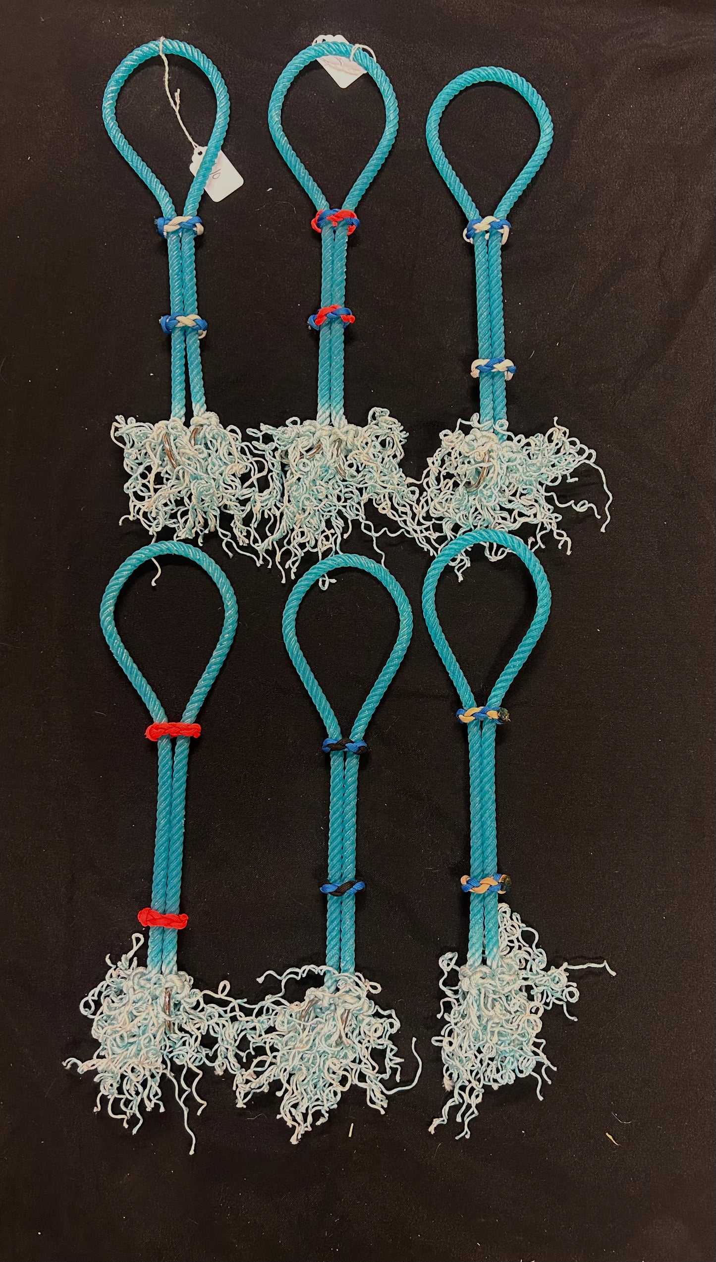 War bridles