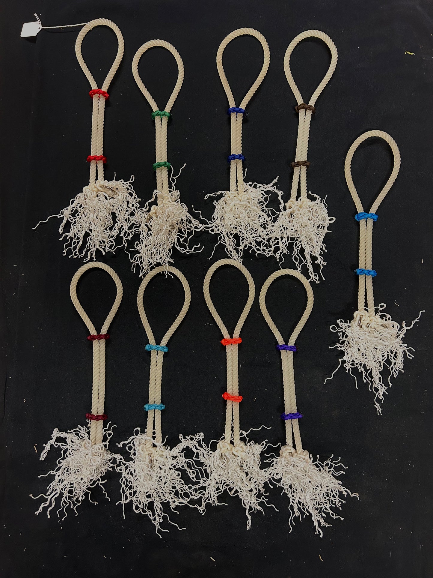 War bridles