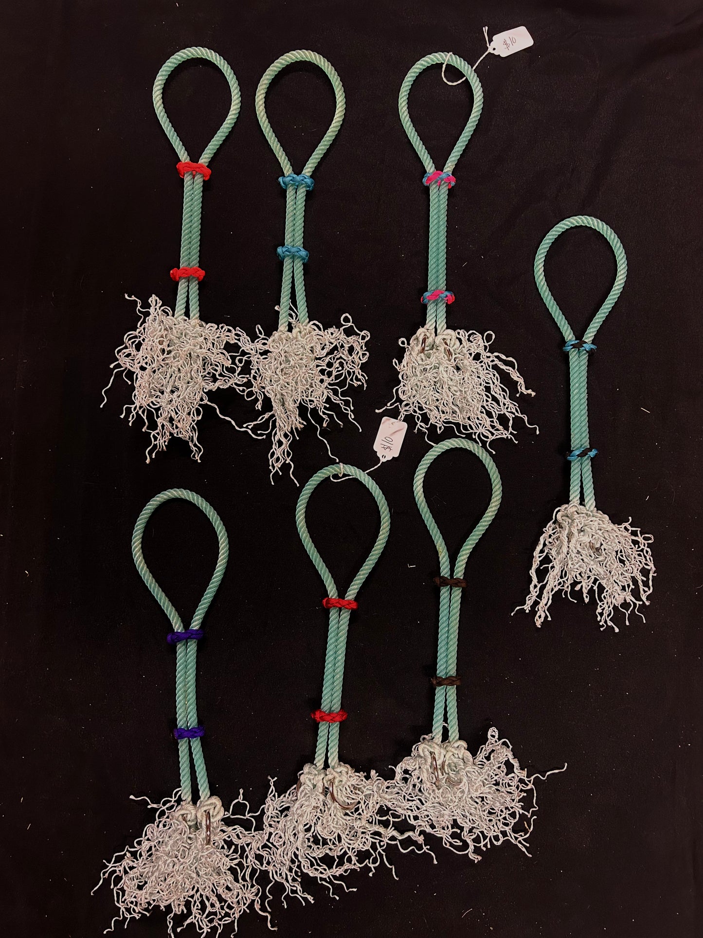 War bridles