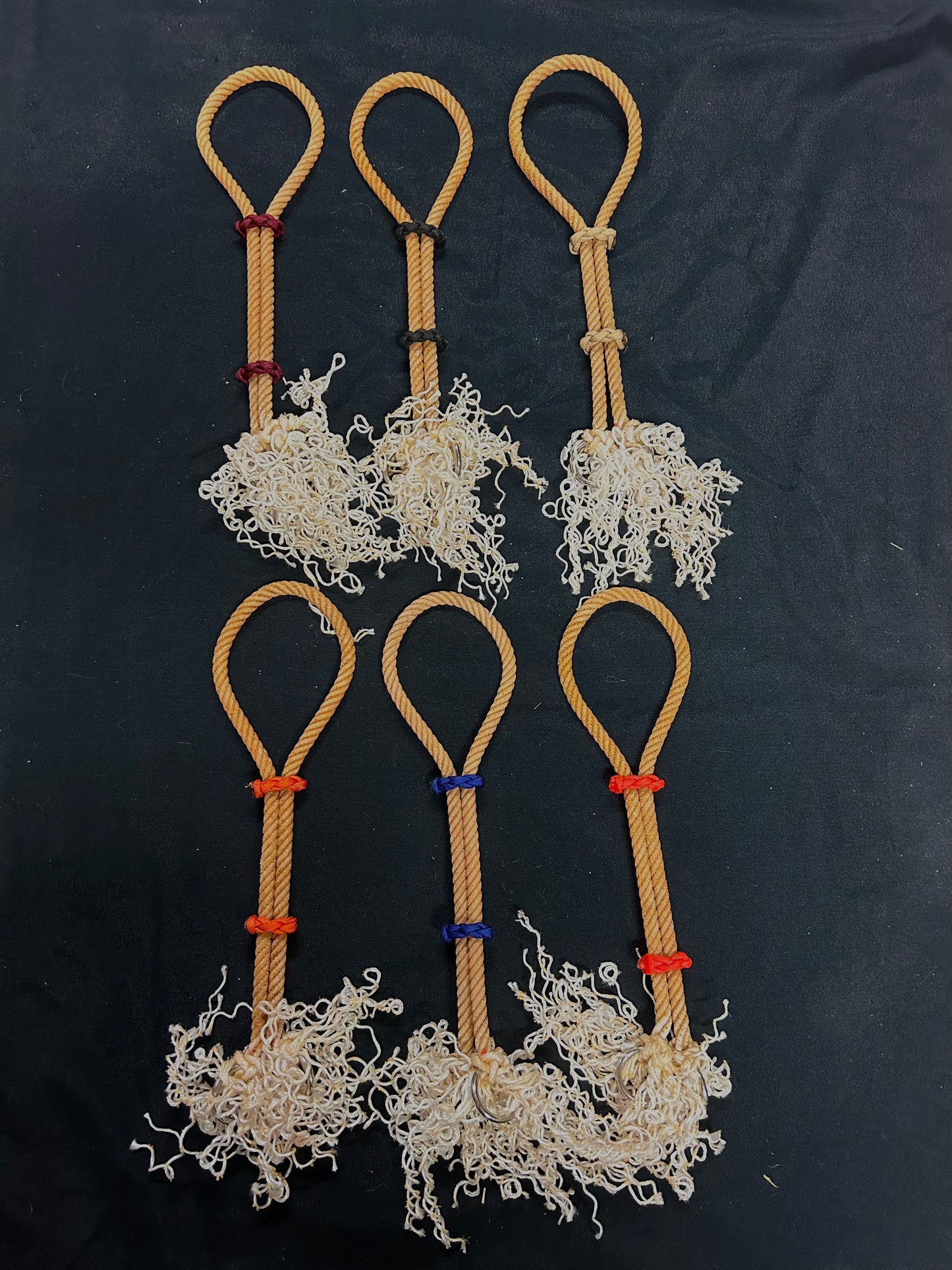 War bridles
